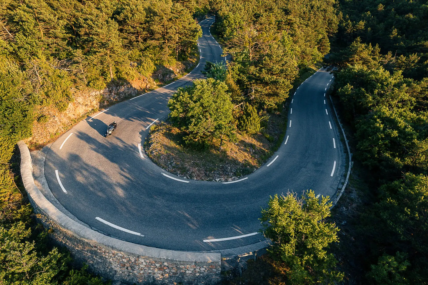 KYMCO AK 550i Premium Flat Brown